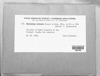 Image Associated With the Occurence